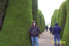 100_2006