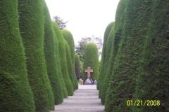 100_2009