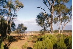 EW-Aust-Outback-1