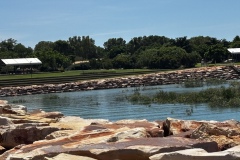 Town Beach   Brooke Australia
