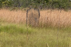 IMG_5029
