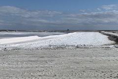 IMG_3138