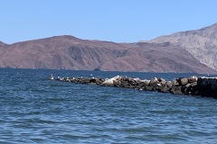 IMG_3167