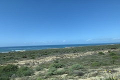 IMG_5828