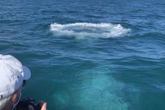 IMG_6005