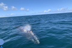 IMG_6014