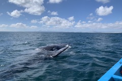 IMG_6056