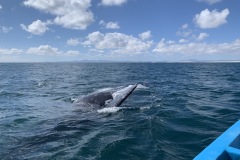 IMG_6057