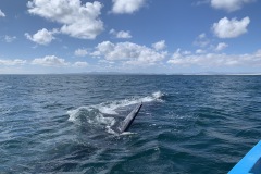 IMG_6058