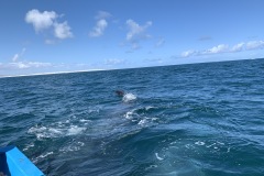 IMG_6075