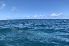 IMG_6077