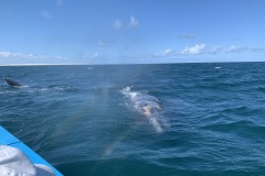 IMG_6088