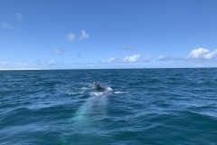 IMG_6092