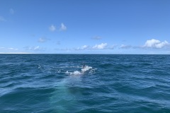 IMG_6093