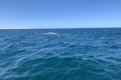 IMG_6114