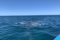 IMG_6116