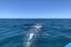 IMG_6120