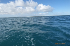 P1170302