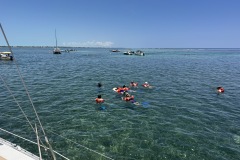 IMG_8723