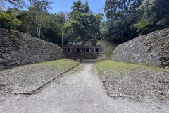 IMG_8795