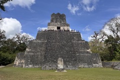 IMG_8832