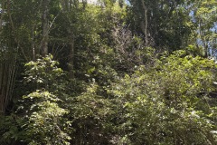 IMG_8841