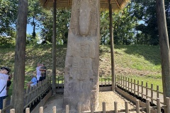IMG_8977