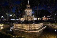 IMG_8991