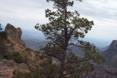 Big-Bend-Carey-056