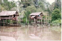 EW-Borneo-River-1