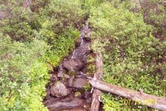 Breckenridge-81