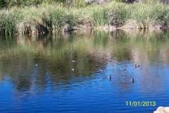 100_9255