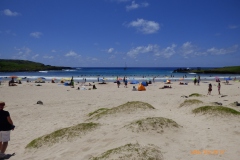 CT-895