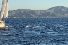 IMG_2851