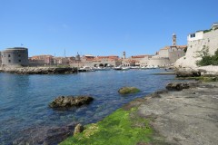 IMG_0022