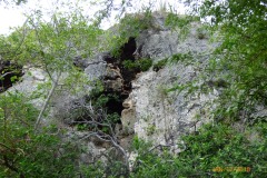 P1110550
