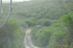 P1110664