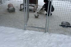 IMG_1772
