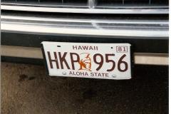 Hawaii-24