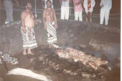 Hawaii-51