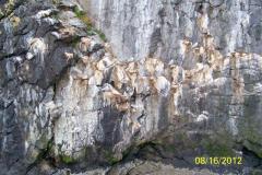 Iceland-374