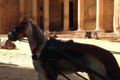 Israel-Jordan-1033