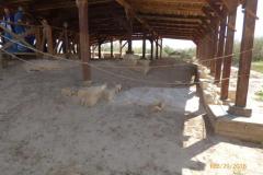 Israel-Jordan-1231