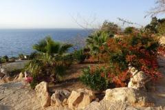 Israel-Jordan-1255