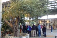 Israel-Jordan-558