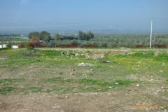 Israel-Jordan-587