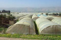 Israel-Jordan-686