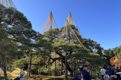 IMG_0206