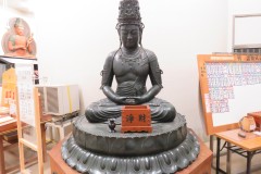 TCDU3735