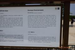 P1070362